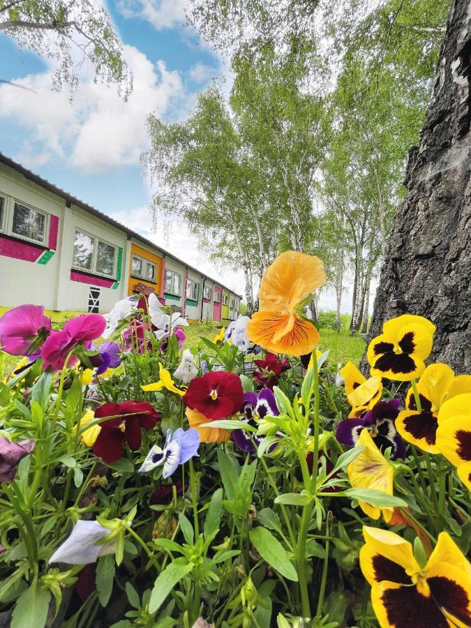 Koza I Brzoza, Domki Z Kontenerow Piechowice  Buitenkant foto
